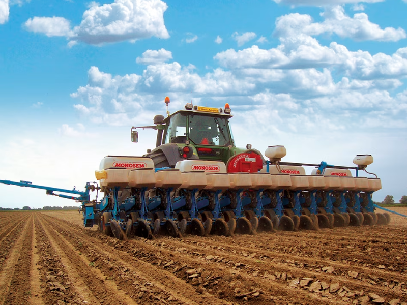 Plantación y siembra