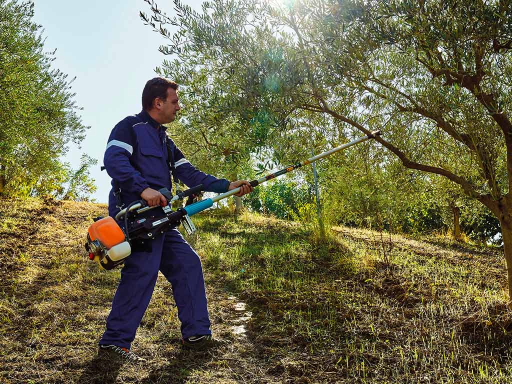 GSM El Toro Evoluzione K