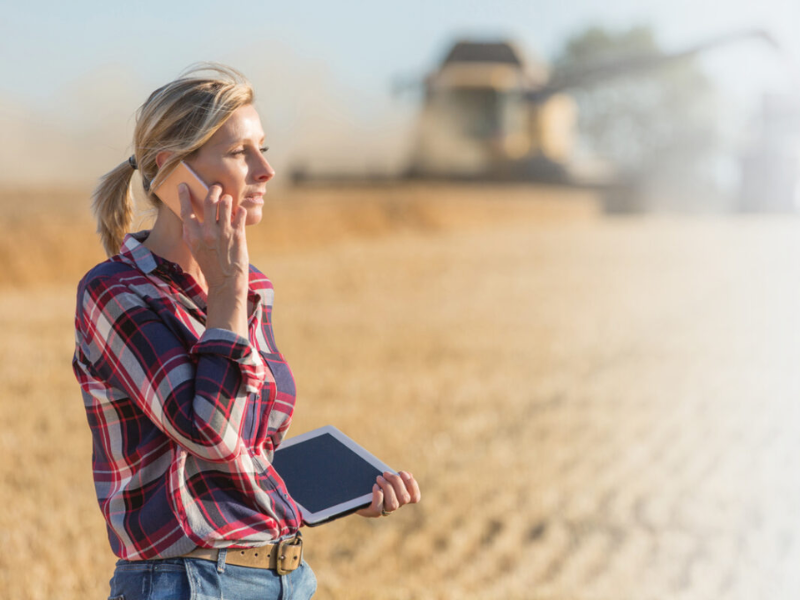 Conectividad y Logística